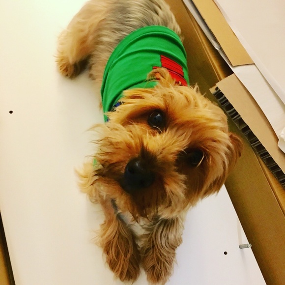 Meet your Posher - Picture 8 of 12